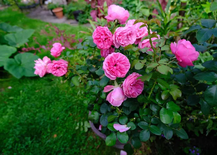 Chill House Гостевой дом 3*